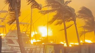 Episode 3 Hellfire in Hawaii