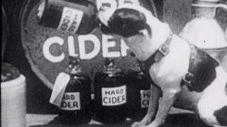 Episode 16 Alcohol Myths