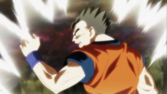 Episode 103 Gohan, Show No Mercy! Showdown with Universe 10!