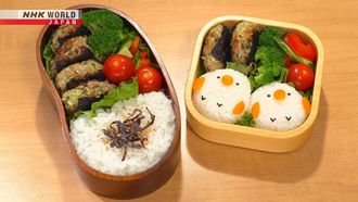 Episode 10 Tochigi Special: Chicken Wing Gyoza Bento & Nori Gyoza Bento