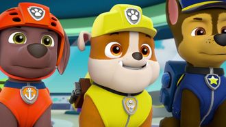Episode 35 Pups Save the Mayor's Tulips