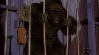 Episode 24 Morticia and the Ladies League