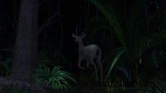 Episode 19 Call of the Wild