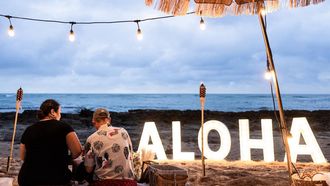 Episode 9 Hawaiian Hijinks