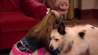 Episode 3 Dog with a Hog