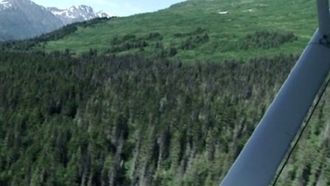 Episode 4 Escape from Bear Mountain