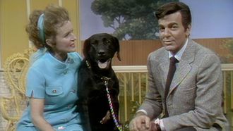 Episode 7 Mike Connors