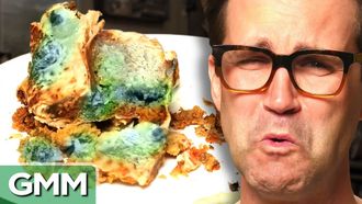 Episode 81 2 Month Old Burrito (EXPERIMENT)