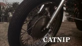 Episode 11 Catnip
