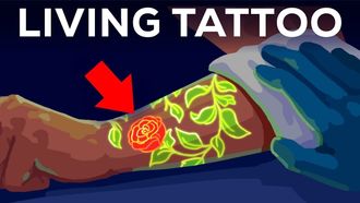 Episode 20 Your Tattoo is INSIDE Your Immune System. Literally