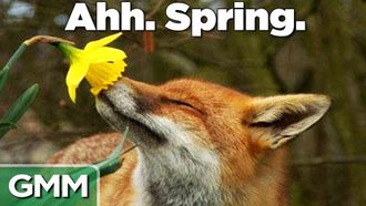 Episode 62 Spring Cleaning Tips