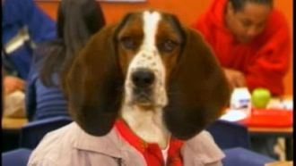 Episode 14 A Dog by Any Other Name