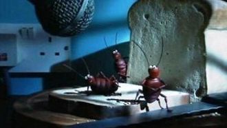 Episode 3 Working Animals