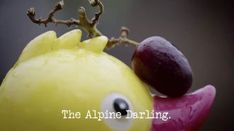 Episode 3 The Alpine Darling