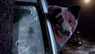 Episode 2 The Fast and the Furriest