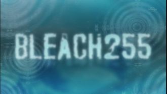 Episode 255 Final Chapter - Zanpakuto the Alternate Tale