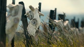 Episode 8 Mysterious Mutilations