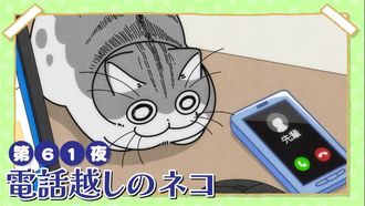Episode 61 Night 61: Cat Over the Phone