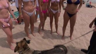 Episode 3 Spring Break: Bombed at the Beach