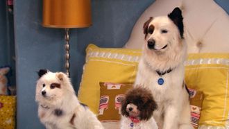 Episode 18 The Puppies Talk