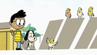 Episode 11 Cockatiel Choir