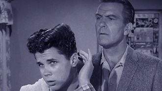 Episode 34 Wally's Haircomb