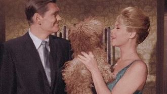 Episode 3 It Shouldn't Happen to a Dog