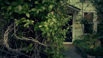 Episode 8 The Missing Hotelier