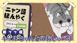 Episode 77 Night 77: Talking with Kyuru-chan