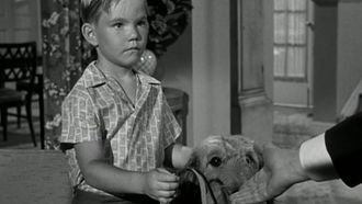 Episode 14 Hazel's Dog Days