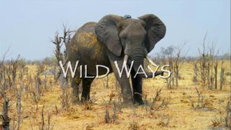 Episode 11 Wild Ways