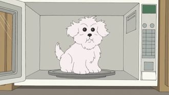 Episode 50 What Happens if You Feed a Dog Chocolate While He Wears a Tin Foil Hat in the Microwave
