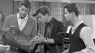 Episode 35 The Hippopotamus Foot