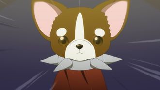 Episode 9 Hakaba no Bochi (Bochi of the Graveyard)