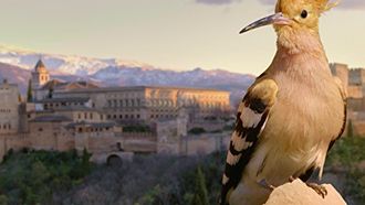 Episode 4 Alhambra: The Oasis in the Desert