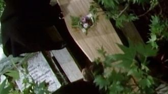 Episode 9 Gaudy Night (2)