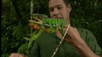 Episode 11 Madagascar: The Land That Time Forgot