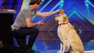 Episode 10 Auditions 9