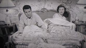 Episode 8 The Barking Dog