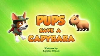 Episode 43 Pups Save a Capybara