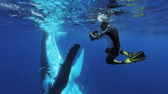 Episode 1 Submerged