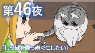 Episode 46 Night 46: The Urge to Straighten a Tail