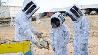 Episode 9 Bees