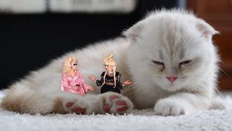 Episode 26 Astrology Pt 2 - Trixie's a Virgo Who Can't Drive