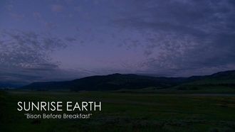 Episode 4 Bison Before Breakfast