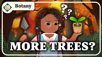 Episode 14 Can Planting Trees Fix Climate Change? (Plants & Biomes)