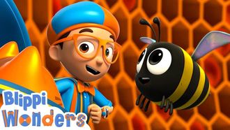 Episode 8 Honey Bees!