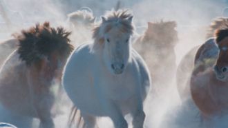 Episode 8 A Horse's Tale