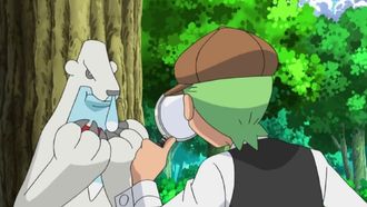 Episode 40 The Mystery of the Missing Cubchoo!