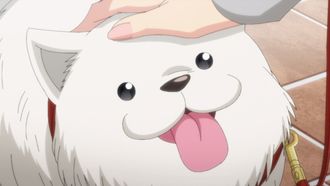 Episode 10 I'm going to be a puppy.